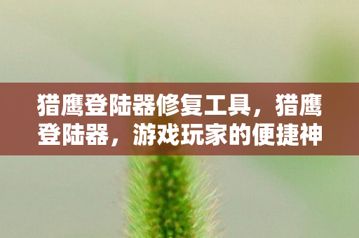 猎鹰登陆器修复工具，猎鹰登陆器，游戏玩家的便捷神器