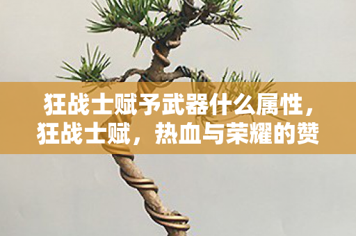 狂战士赋予武器什么属性,狂战士赋,热血与荣耀的赞歌 狂战士赋予武器什么属性,狂战士赋,热血与荣耀的赞歌