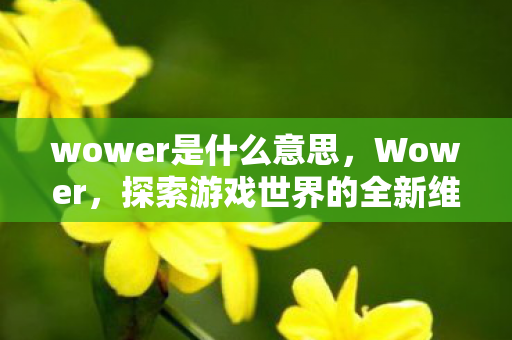 wower是什么意思,Wower,探索游戏世界的全新维度 wower是什么意思,Wower,探索游戏世界的全新维度