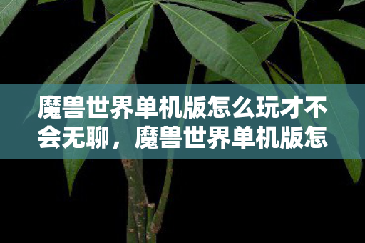 魔兽世界单机版怎么玩才不会无聊,魔兽世界单机版怎么玩 魔兽世界单机版怎么玩才不会无聊,魔兽世界单机版怎么玩