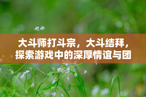 大斗师打斗宗,大斗结拜,探索游戏中的深厚情谊与团队精神 大斗师打斗宗,大斗结拜,探索游戏中的深厚情谊与团队精神