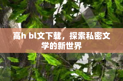 高h bl文下载,探索私密文学的新世界 高h bl文下载,探索私密文学的新世界