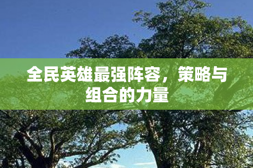 全民英雄最强阵容,策略与组合的力量 全民英雄最强阵容,策略与组合的力量