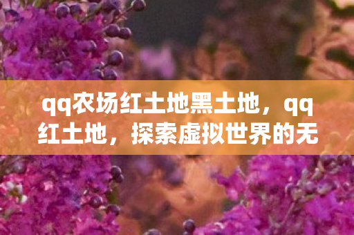 qq农场红土地黑土地,qq红土地,探索虚拟世界的无限可能 qq农场红土地黑土地,qq红土地,探索虚拟世界的无限可能