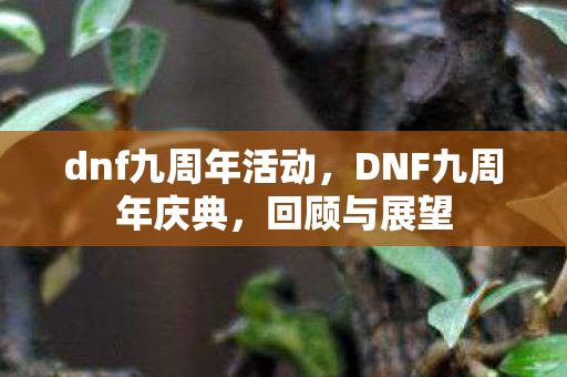 dnf九周年活动,DNF九周年庆典,回顾与展望 dnf九周年活动,DNF九周年庆典,回顾与展望