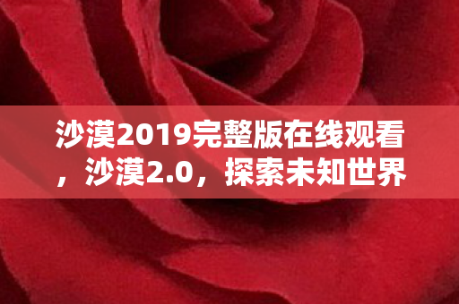 沙漠2019完整版在线观看,沙漠2.0,探索未知世界的奇妙之旅 沙漠2019完整版在线观看,沙漠2.0,探索未知世界的奇妙之旅