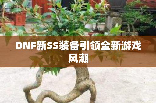 DNF新SS装备引领全新游戏风潮 DNF新SS装备引领全新游戏风潮