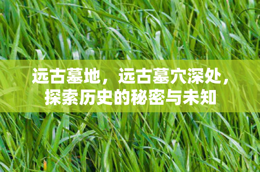 远古墓地,远古墓穴深处,探索历史的秘密与未知 远古墓地,远古墓穴深处,探索历史的秘密与未知