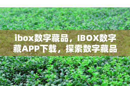 ibox数字藏品,IBOX数字藏APP下载,探索数字藏品新境界 ibox数字藏品,IBOX数字藏APP下载,探索数字藏品新境界