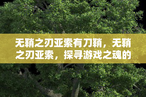 无鞘之刃亚索有刀鞘，无鞘之刃亚索，探寻游戏之魂的极致