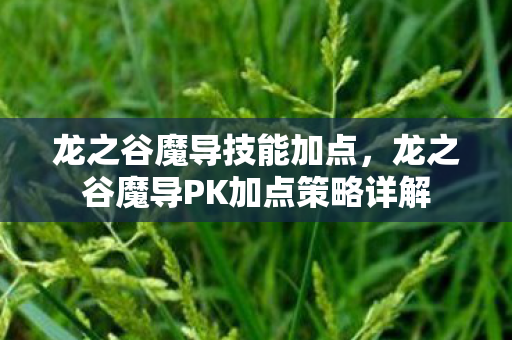 龙之谷魔导技能加点，龙之谷魔导PK加点策略详解