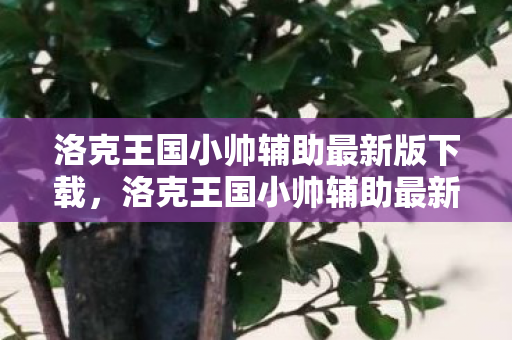 洛克王国小帅辅助最新版下载,洛克王国小帅辅助最新版,提升游戏体验的得力助手 洛克王国小帅辅助最新版下载,洛克王国小帅辅助最新版,提升游戏体验的得力助手