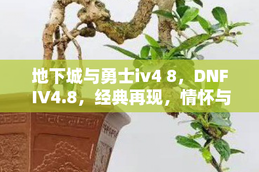 地下城与勇士iv4 8，DNF IV4.8，经典再现，情怀与创新的完美融合