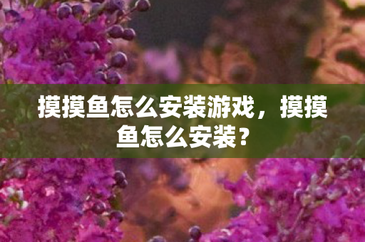 摸摸鱼怎么安装游戏,摸摸鱼怎么安装? 摸摸鱼怎么安装游戏,摸摸鱼怎么安装?