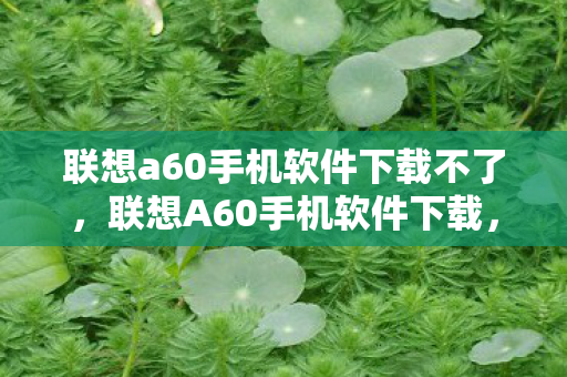 联想a60手机软件下载不了,联想A60手机软件下载,丰富应用,便捷体验 联想a60手机软件下载不了,联想A60手机软件下载,丰富应用,便捷体验