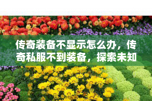 传奇装备不显示怎么办,传奇私服不到装备,探索未知世界的奇妙之旅 传奇装备不显示怎么办,传奇私服不到装备,探索未知世界的奇妙之旅