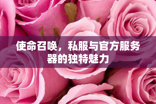 使命召唤,私服与官方服务器的独特魅力 使命召唤,私服与官方服务器的独特魅力
