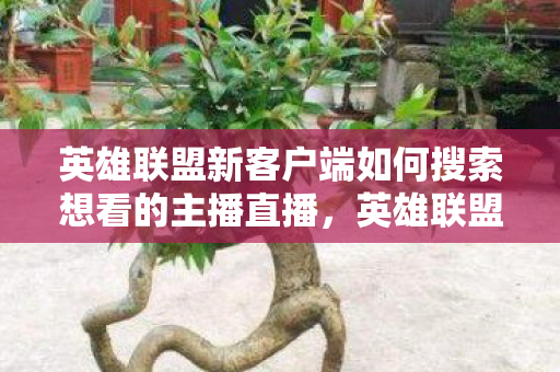 英雄联盟新客户端如何搜索想看的主播直播,英雄联盟新客户端,优化体验,重塑游戏生态 英雄联盟新客户端如何搜索想看的主播直播,英雄联盟新客户端,优化体验,重塑游戏生态