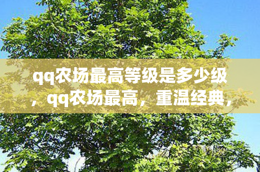 qq农场最高等级是多少级,qq农场最高,重温经典,探索无限可能的休闲农场之旅 qq农场最高等级是多少级,qq农场最高,重温经典,探索无限可能的休闲农场之旅