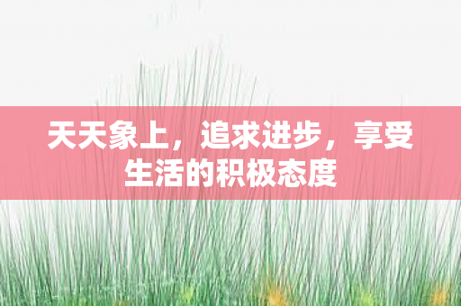 天天象上,追求进步,享受生活的积极态度 天天象上,追求进步,享受生活的积极态度
