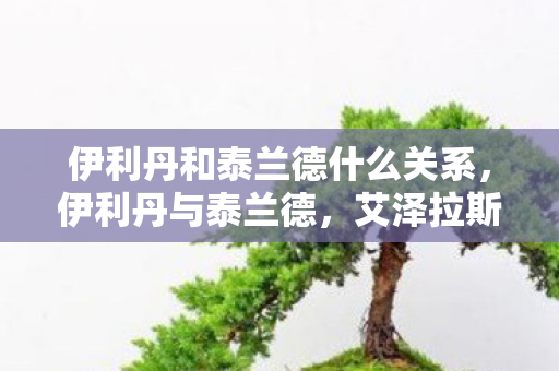 伊利丹和泰兰德什么关系，伊利丹与泰兰德，艾泽拉斯的宿命交织