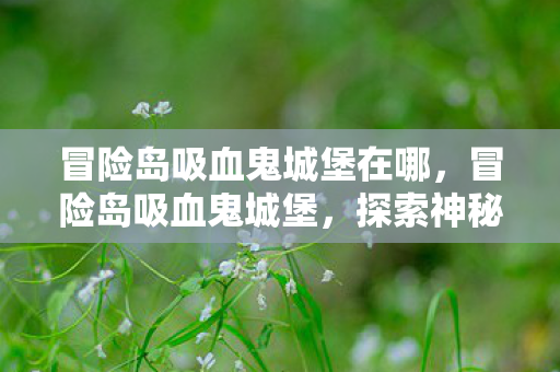 冒险岛吸血鬼城堡在哪,冒险岛吸血鬼城堡,探索神秘与恐怖的冒险之旅 冒险岛吸血鬼城堡在哪,冒险岛吸血鬼城堡,探索神秘与恐怖的冒险之旅