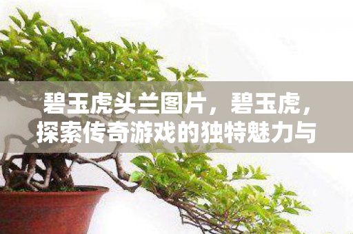 碧玉虎头兰图片，碧玉虎，探索传奇游戏的独特魅力与文化传承