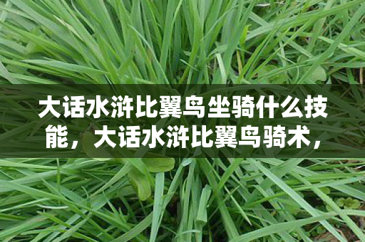 大话水浒比翼鸟坐骑什么技能,大话水浒比翼鸟骑术,探索骑术背后的奇幻世界 大话水浒比翼鸟坐骑什么技能,大话水浒比翼鸟骑术,探索骑术背后的奇幻世界