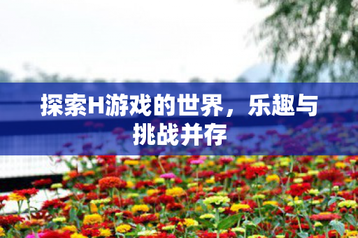 探索H游戏的世界,乐趣与挑战并存 探索H游戏的世界,乐趣与挑战并存