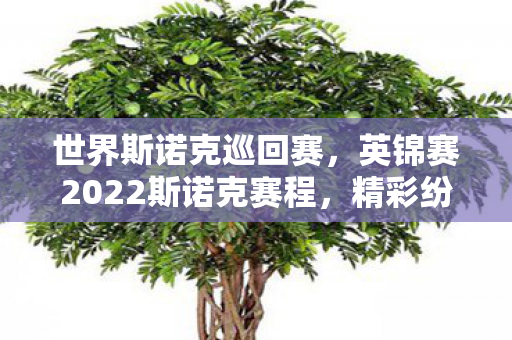 世界斯诺克巡回赛,英锦赛2022斯诺克赛程,精彩纷呈的斯诺克盛宴 世界斯诺克巡回赛,英锦赛2022斯诺克赛程,精彩纷呈的斯诺克盛宴