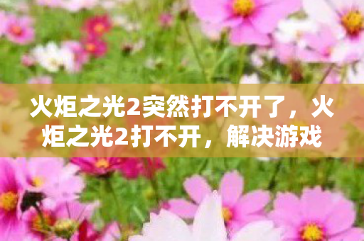 火炬之光2突然打不开了,火炬之光2打不开,解决游戏启动问题的全面指南 火炬之光2突然打不开了,火炬之光2打不开,解决游戏启动问题的全面指南