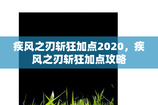 疾风之刃斩狂加点2020,疾风之刃斩狂加点攻略 疾风之刃斩狂加点2020,疾风之刃斩狂加点攻略