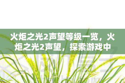 火炬之光2声望等级一览,火炬之光2声望,探索游戏中的荣耀与成就 火炬之光2声望等级一览,火炬之光2声望,探索游戏中的荣耀与成就