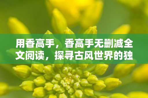用香高手,香高手无删减全文阅读,探寻古风世界的独特魅力 用香高手,香高手无删减全文阅读,探寻古风世界的独特魅力