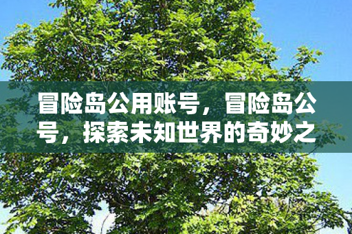 冒险岛公用账号,冒险岛公号,探索未知世界的奇妙之旅 冒险岛公用账号,冒险岛公号,探索未知世界的奇妙之旅
