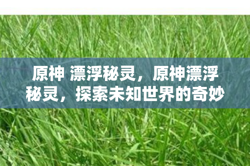 原神 漂浮秘灵,原神漂浮秘灵,探索未知世界的奇妙之旅 原神 漂浮秘灵,原神漂浮秘灵,探索未知世界的奇妙之旅