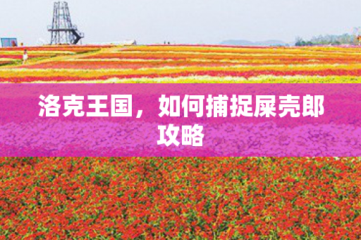 洛克王国,如何捕捉屎壳郎攻略 洛克王国,如何捕捉屎壳郎攻略