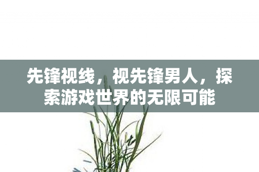 先锋视线，视先锋男人，探索游戏世界的无限可能