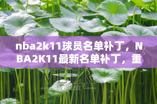 nba2k11球员名单补丁,NBA2K11最新名单补丁,重温经典,重塑传奇 nba2k11球员名单补丁,NBA2K11最新名单补丁,重温经典,重塑传奇