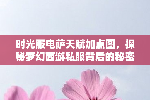 时光服电萨天赋加点图,探秘梦幻西游私服背后的秘密,为何玩家趋之若鹜? 时光服电萨天赋加点图,探秘梦幻西游私服背后的秘密,为何玩家趋之若鹜?