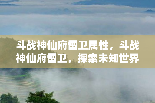 斗战神仙府雷卫属性，斗战神仙府雷卫，探索未知世界的奇幻之旅