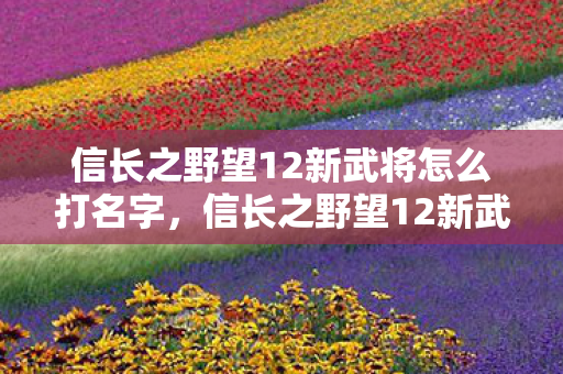 信长之野望12新武将怎么打名字,信长之野望12新武将,探索战国时代的英雄传奇 信长之野望12新武将怎么打名字,信长之野望12新武将,探索战国时代的英雄传奇