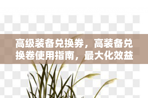 高级装备兑换券,高装备兑换卷使用指南,最大化效益的策略与技巧 高级装备兑换券,高装备兑换卷使用指南,最大化效益的策略与技巧