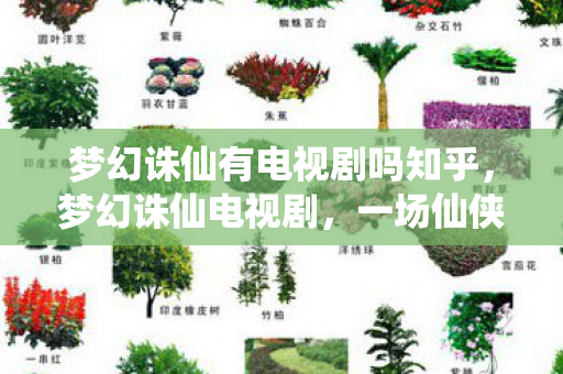 梦幻诛仙有电视剧吗知乎，梦幻诛仙电视剧，一场仙侠奇缘的视听盛宴