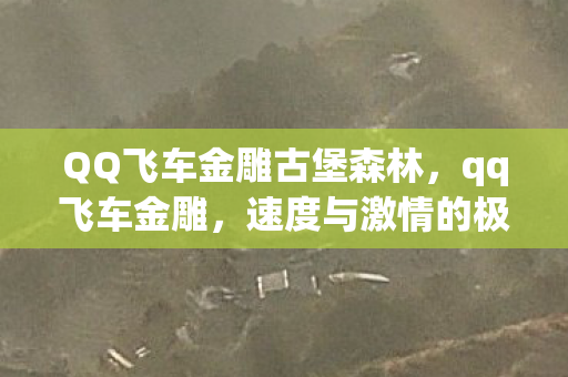 QQ飞车金雕古堡森林，qq飞车金雕，速度与激情的极致体验