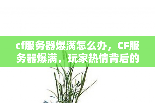 cf服务器爆满怎么办,CF服务器爆满,玩家热情背后的挑战与机遇 cf服务器爆满怎么办,CF服务器爆满,玩家热情背后的挑战与机遇