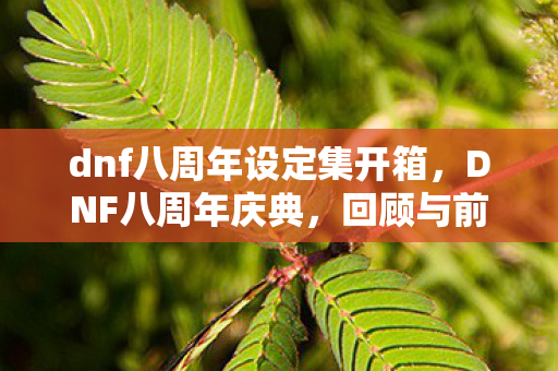 dnf八周年设定集开箱,DNF八周年庆典,回顾与前瞻 dnf八周年设定集开箱,DNF八周年庆典,回顾与前瞻