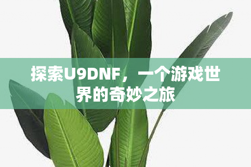 探索U9DNF,一个游戏世界的奇妙之旅 探索U9DNF,一个游戏世界的奇妙之旅