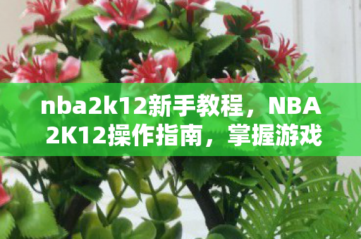 nba2k12新手教程,NBA 2K12操作指南,掌握游戏精髓 nba2k12新手教程,NBA 2K12操作指南,掌握游戏精髓