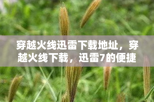 穿越火线迅雷下载地址,穿越火线下载,迅雷7的便捷体验 穿越火线迅雷下载地址,穿越火线下载,迅雷7的便捷体验